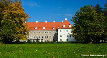 Pałac Schaffgotschów