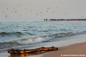 Grzybowo nad Bałtykiem - plaża