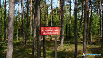 Jastrzębia Góra - Nadmorski Park Krajobrazowy