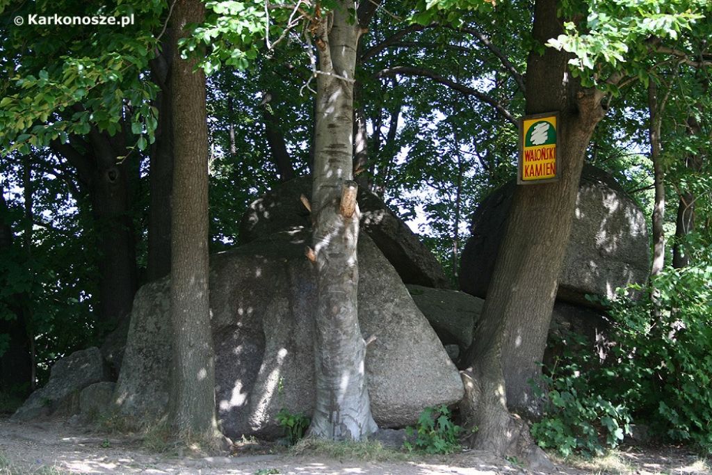 /img/images/miasta/przesieka_1/przesieka_walonski_