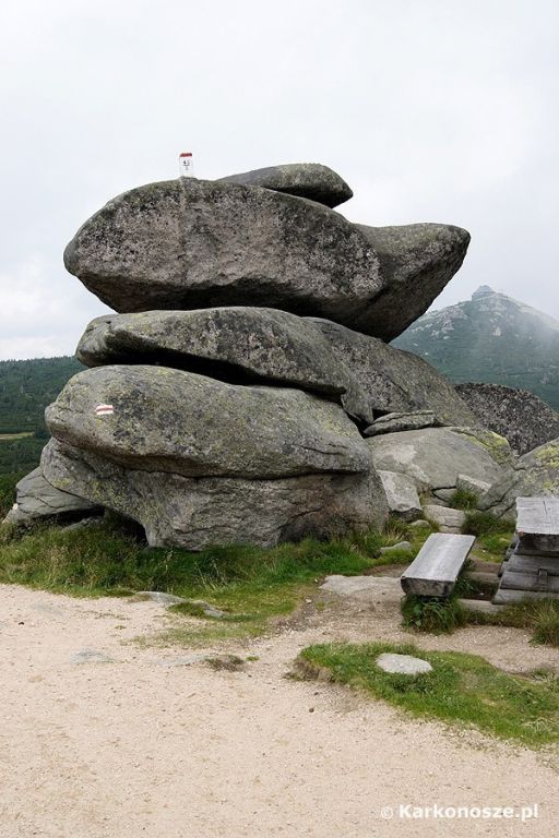 Twarożnik