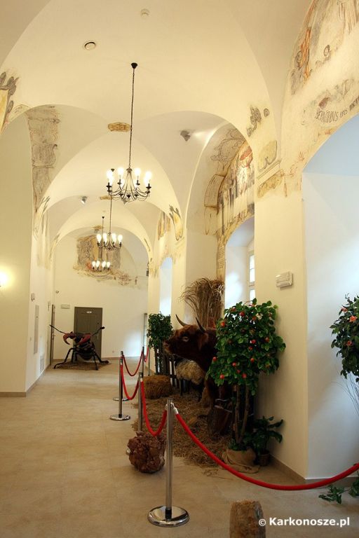 /img/images/miasta/cieplice_1/cieplice_muzeum_przy