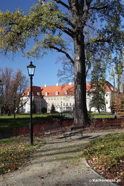 /img/images/miasta/cieplice_2/cieplice_park_zdrojo