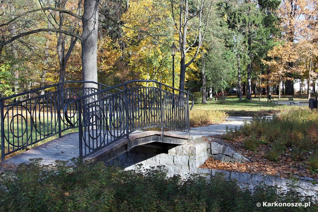 /img/images/miasta/cieplice_3/cieplicki_park_zdroj