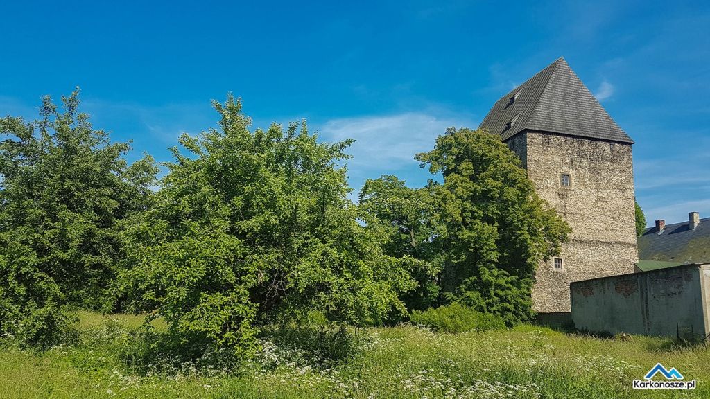 Wieża rycerska w Siedlęcinie