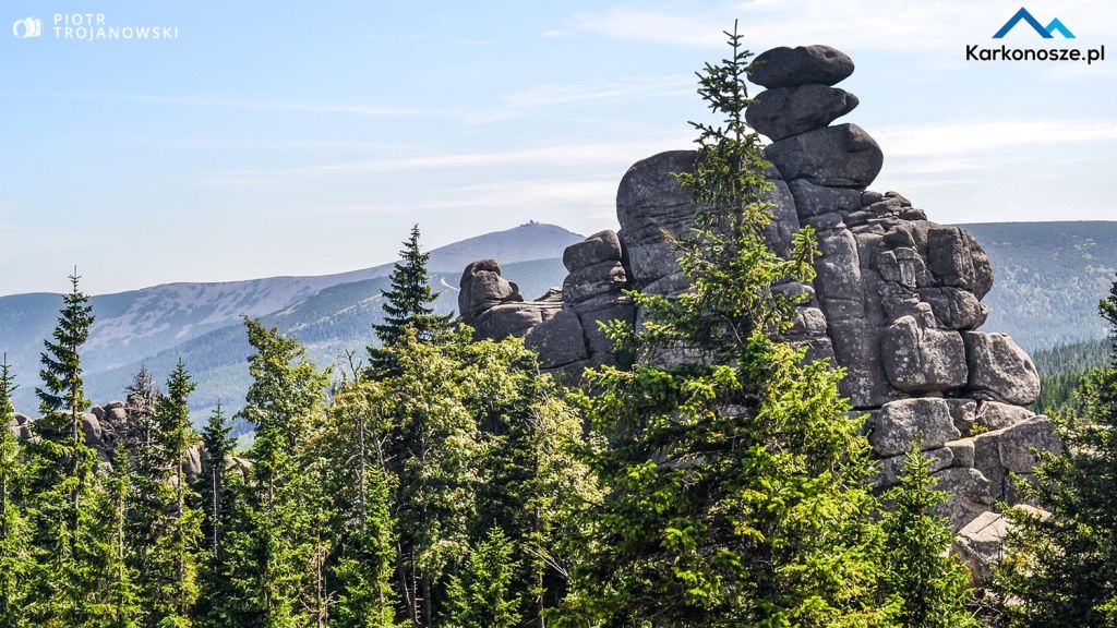 Widok w stronę Śnieżki