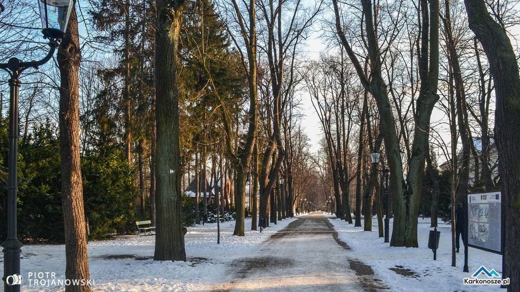 Park zdrojowy