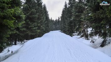 Ostatni zjazd do Polany Jakuszyckiej